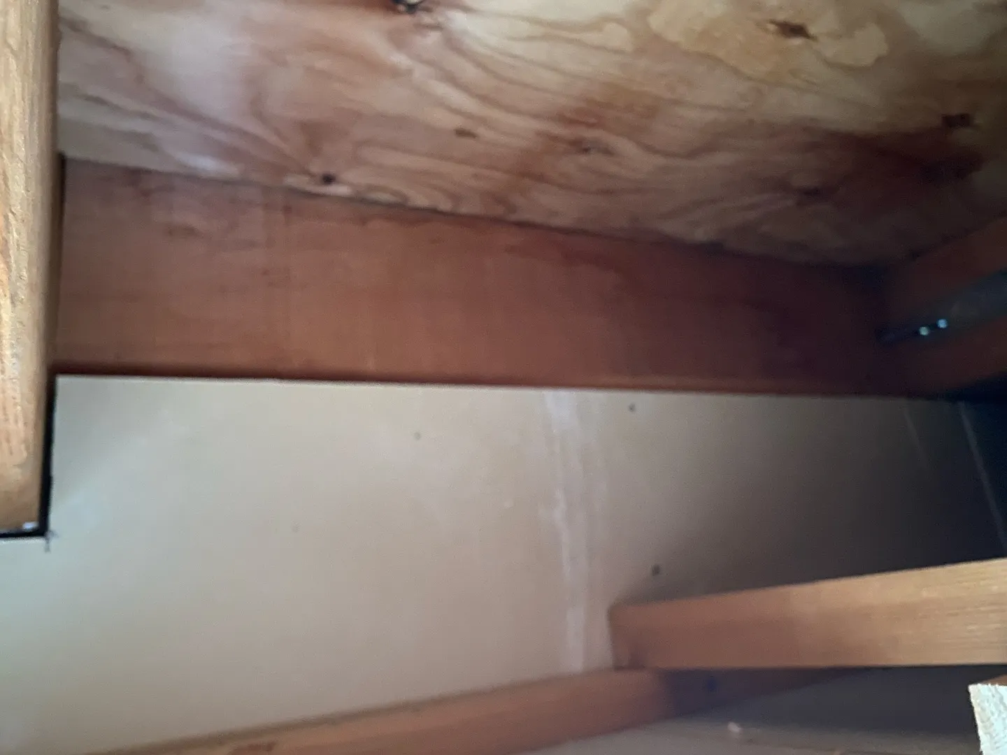 本日は板橋区赤塚で雨漏り調査工事を行っております。