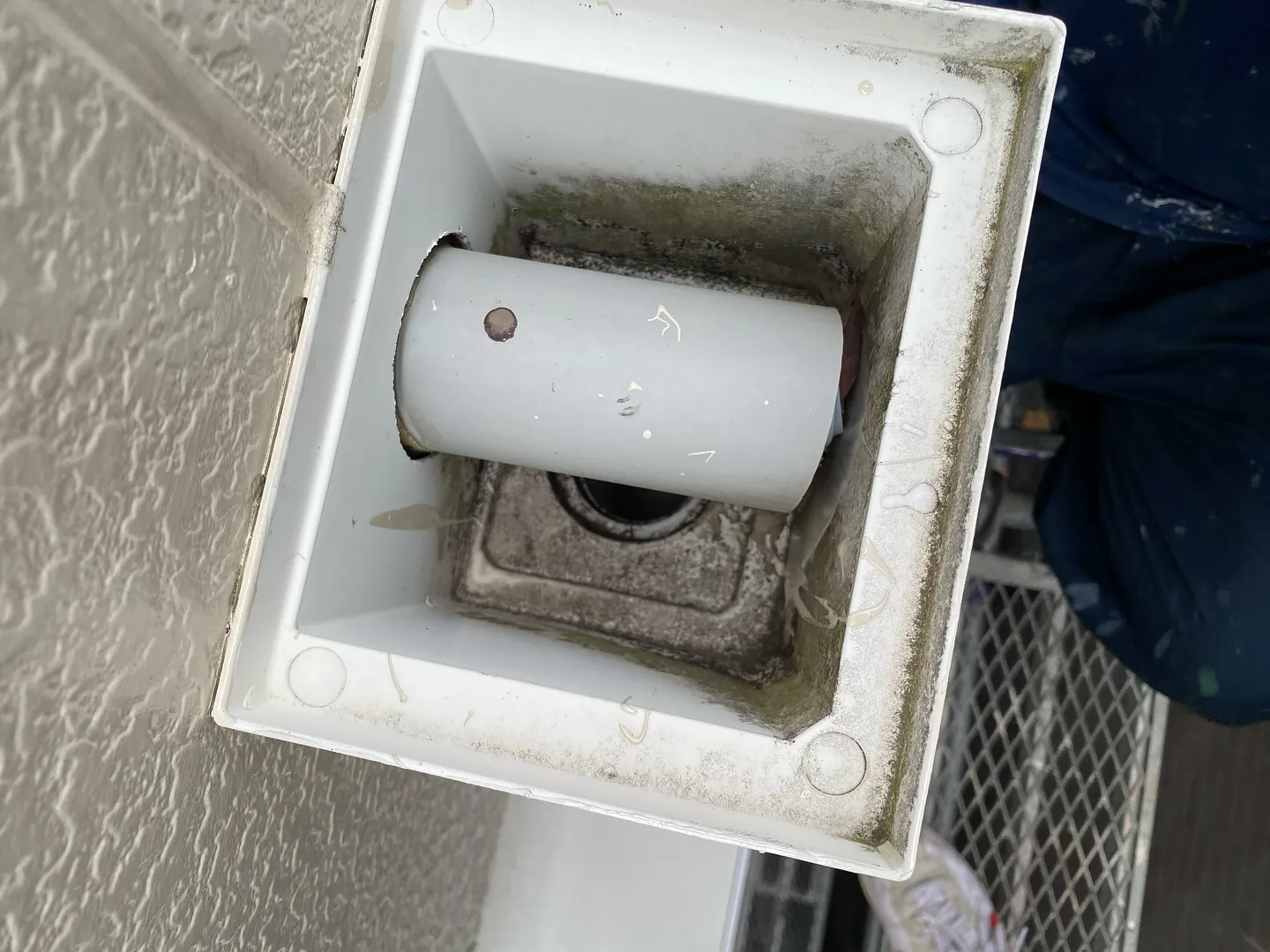 本日は板橋区赤塚で雨漏り調査工事を行っております。